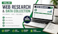do professional web research and market research