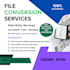 do file conversion services fast and accurate