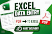 do professional excel data entry and formatting