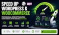 speed up wordpress and woocommerce website professionally