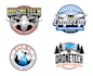 design a professional drone logo with free unlimited revisions