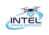 design a professional drone logo