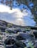 edit aesthetic nature photos