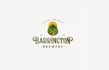 design solar powered craft brewery logo