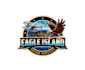 design superb beautiful eagle and drone logo just for you
