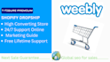 build an elegant weebly website with professional design and integrated SEO