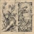 create detailed vintage engraving and etching illustration