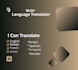 provide professional translation services