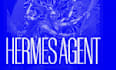 install and setup hermes ai agent with skills