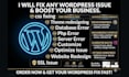fix wordpress issues redesign woocommerce repair wordpress seo elementor bug fix