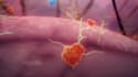 create medical animation anatomy moa and science explainer animation video