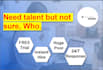 provide managed and unmanaged talent