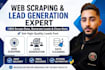 do provide expert web scraping and lead generation