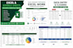 do professional excel data entry and spreadsheet work
