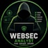 do web application penetration testing and vulnerability assessment