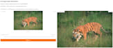 finetune a computer vision model for your custom dataset
