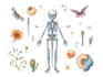 do medical and scientific
