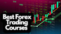 create forex, crypto and trading video course youtube