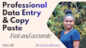 professional data entry, copy paste, and web research