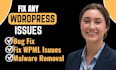 fix and translate wordpress website to multilingual using wpml plugin