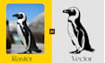 manually vector trace logo, image, jpg, png to vector