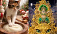 create an ai cinematic pet video that stops the scroll