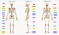 do data annotation, image segmentation, bounding box