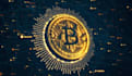develop crypto invest btc and usdt btc usdt platform