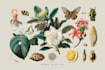 design modern botanical line art