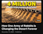 write viral horror and documentary youtube scripts