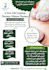 design social media posts, logo, design websites and cv