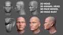 sculpt 3d face model likeness model 3d head bust 3d head model 3d printing model