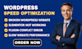 fix wordpress bugs, speed optimization, elementor and plugin errors