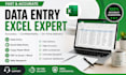 do fast and accurate data entry and ms excel work