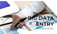 big data entry input