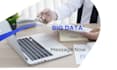 do big data entry management