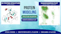 do protein structure modeling and validation