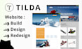 design redesign a high converting tilda website or zero block landing page