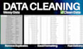 data cleaning and excel formatting expert