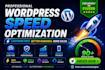 do wordpress speed optimization for google pagespeed insight
