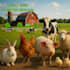 design poultry and livestock farm graphics