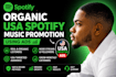 do organic USA spotify music promotion using ads