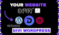 fix slow divi wordpress website speed, boost performance and SEO optimization