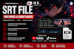 create professional anime subtitles and synchronize srt captions