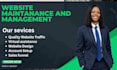 provide professional website maintenance and shopify store management