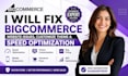 fix bigcommerce website issues customize theme and speed optimization