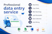 do accurate excel data entry, copy paste, web scarping