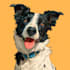 draw pet portrait into cartoon vector