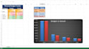 do accurate excel data entry