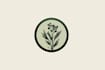 create hand drawn botanical boho logo designs